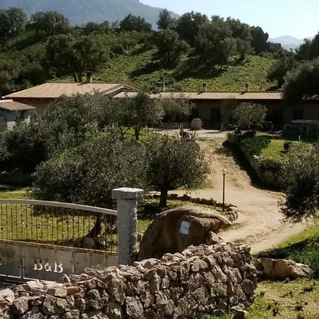 B&B Sa Mendula Oliena Zewnętrze zdjęcie