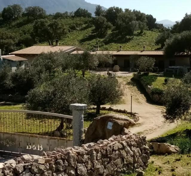 B&B Sa Mendula Oliena Zewnętrze zdjęcie