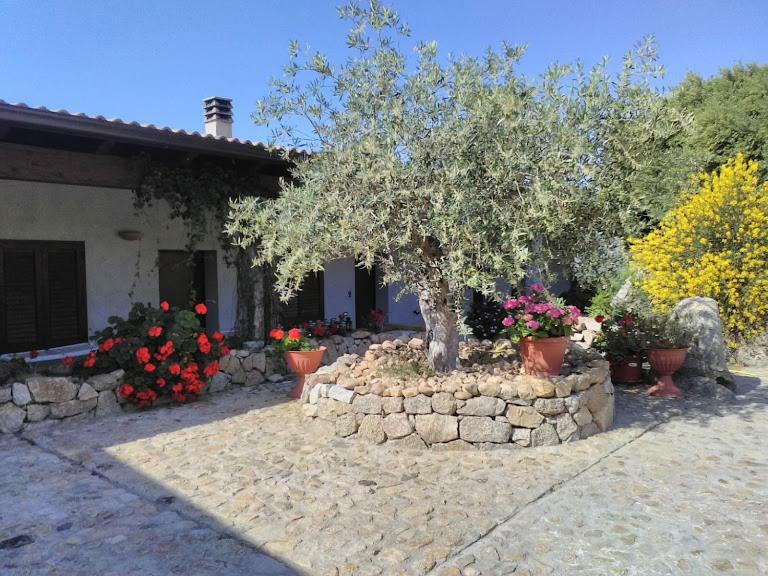 B&B Sa Mendula Oliena Zewnętrze zdjęcie